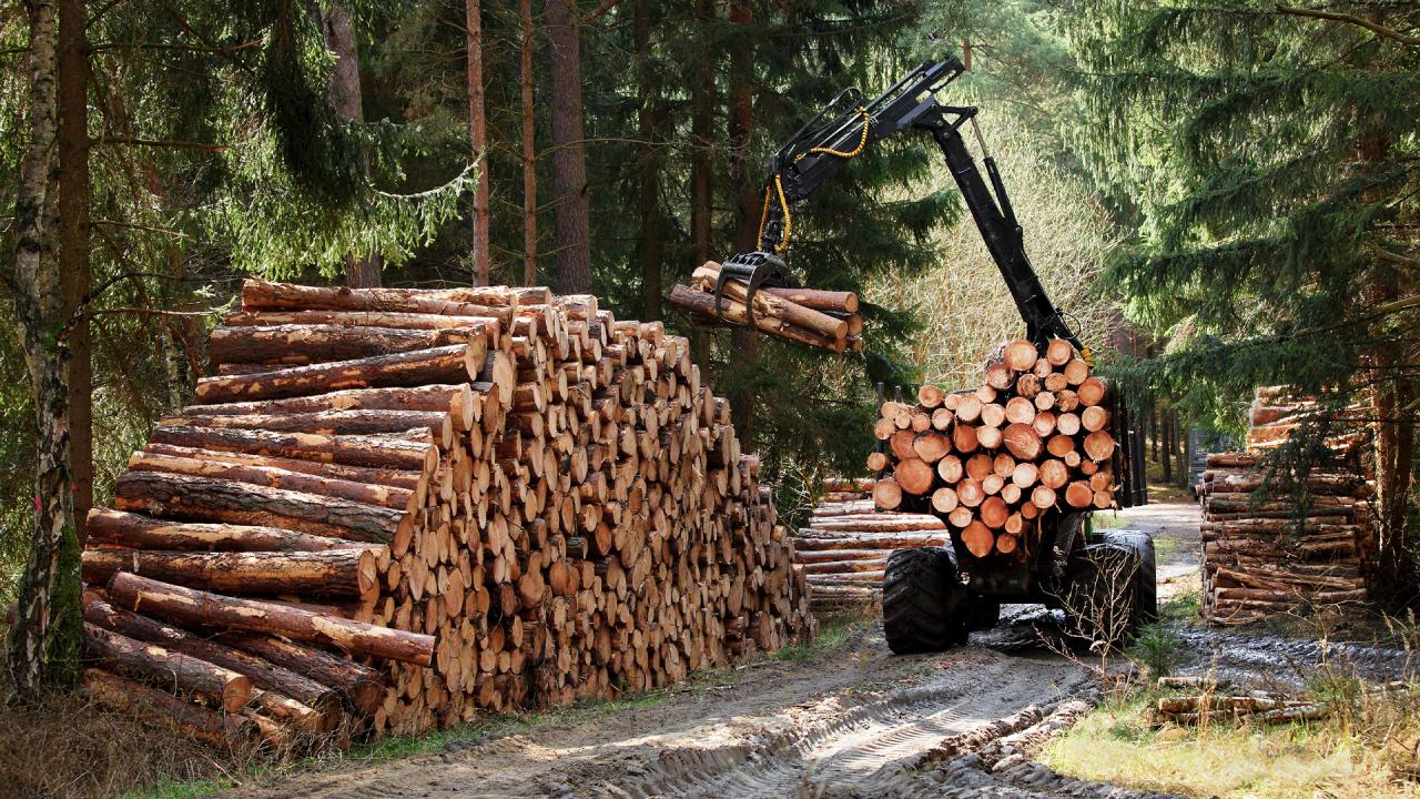 Forestry machine loading timber